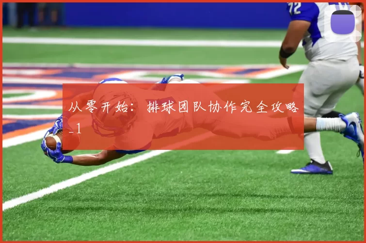 从零开始：排球团队协作完全攻略_1