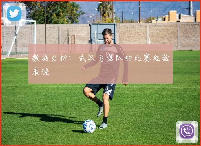 数据分析：武汉飞盘队的比赛经验表现