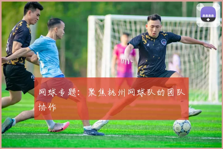 网球专题：聚焦杭州网球队的团队协作