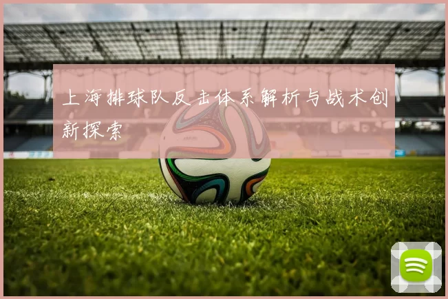 上海排球队反击体系解析与战术创新探索