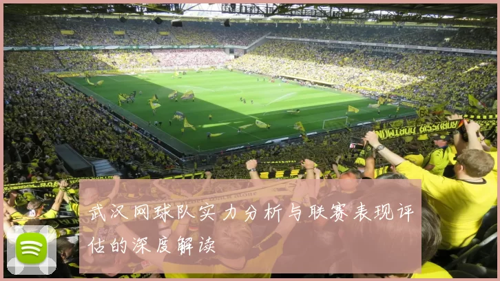 武汉网球队实力分析与联赛表现评估的深度解读