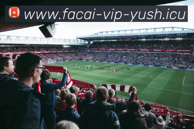 开云体育品牌故事