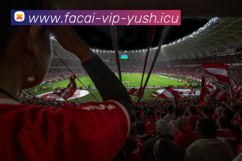 开云体育服务体系